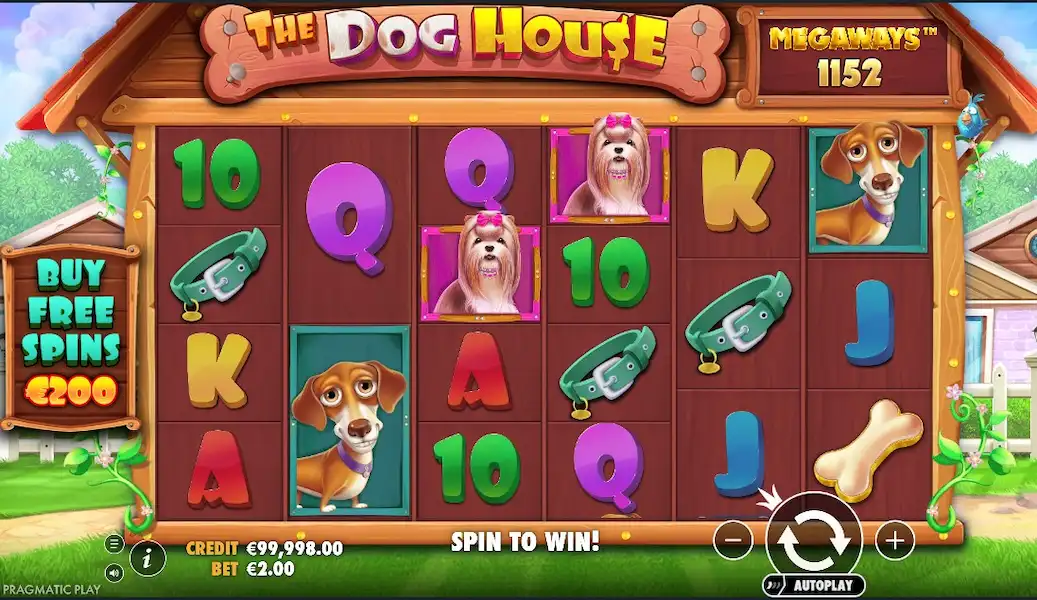 The Dog House Megaways Joc Liber 2